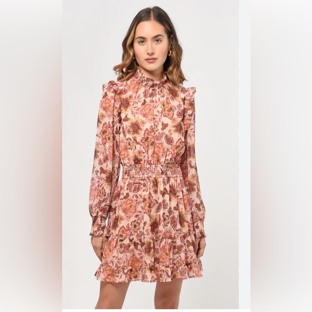 Anthropologie Greylin Floral Ruffle Smocked Waist Dress XS